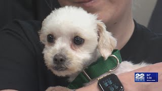 Springfield recognizes Animal Control Appreciation Week