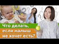 Как правильно вводить прикорм? / Что делать, если ребенок плохо ест?