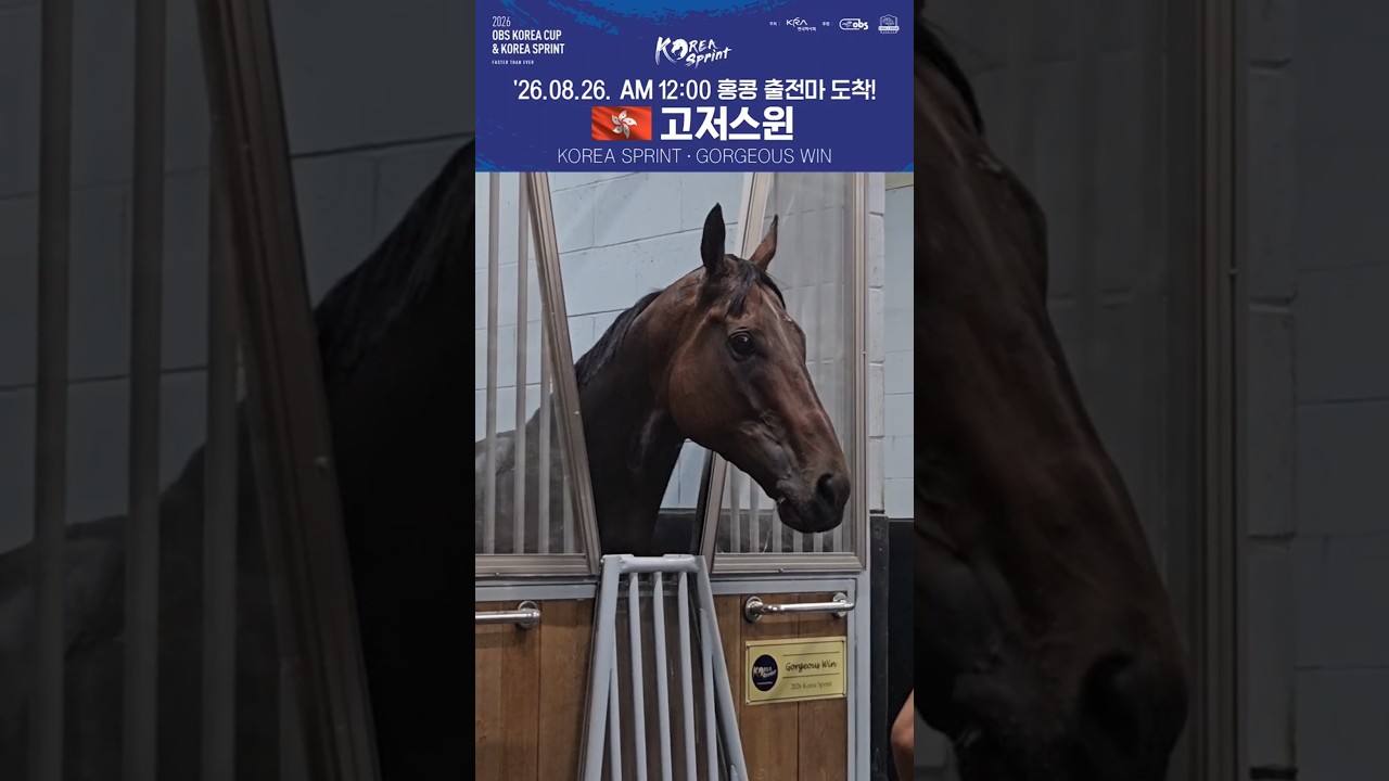 2026 코리아스프린트 출전마! 홍콩 고저스윈이 왔어요 #gorgeouswin