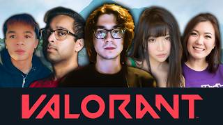 I Joined A PROFESSIONAL Valorant Team