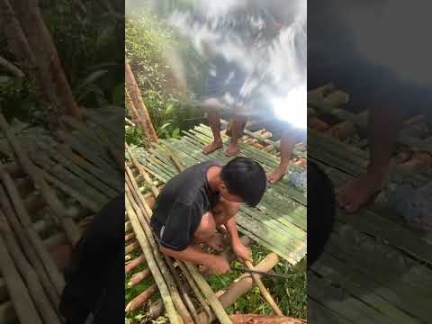 Video: Segar dan Kreatif Praktis: Rumah Untuk Menangkap Pohon