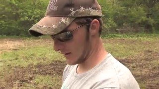 2016 Spring food plot