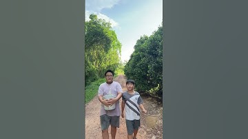 BẮT CÁ Ở VŨNG NƯỚC NHỎ #phadene #shorts