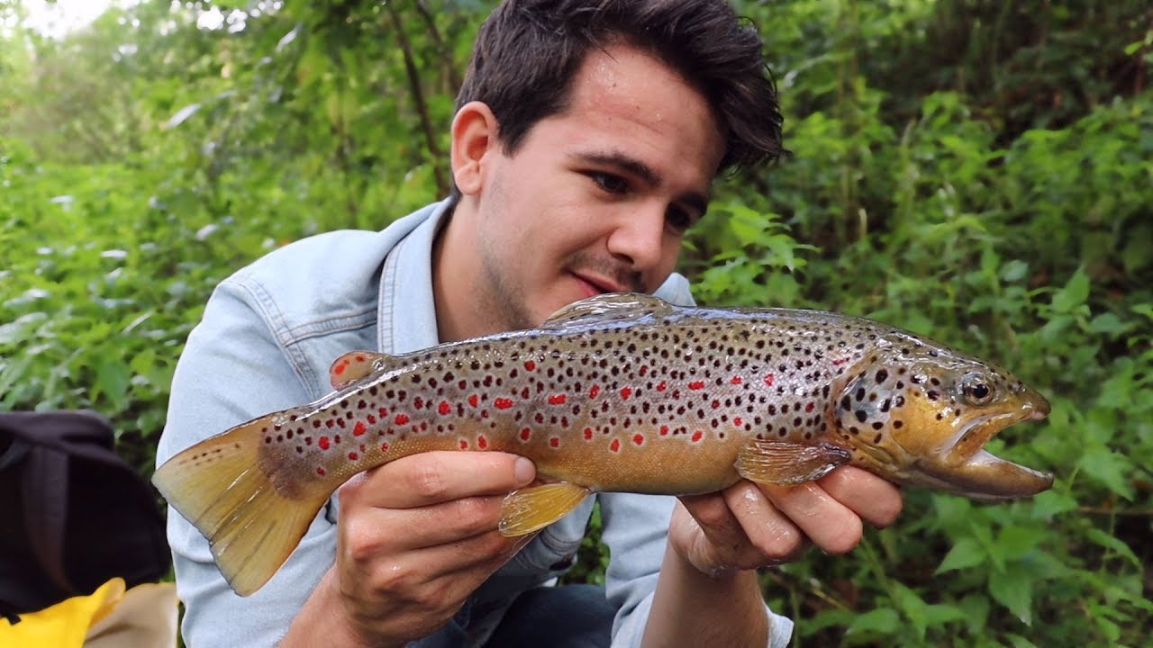 Vissen in de Ardennen op Beekforel