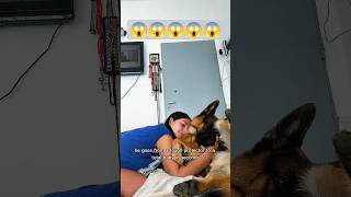 One Command Changes Everything 🐾#dog #k9 #dogtraining #malinois #viral #shorts #fyp #training