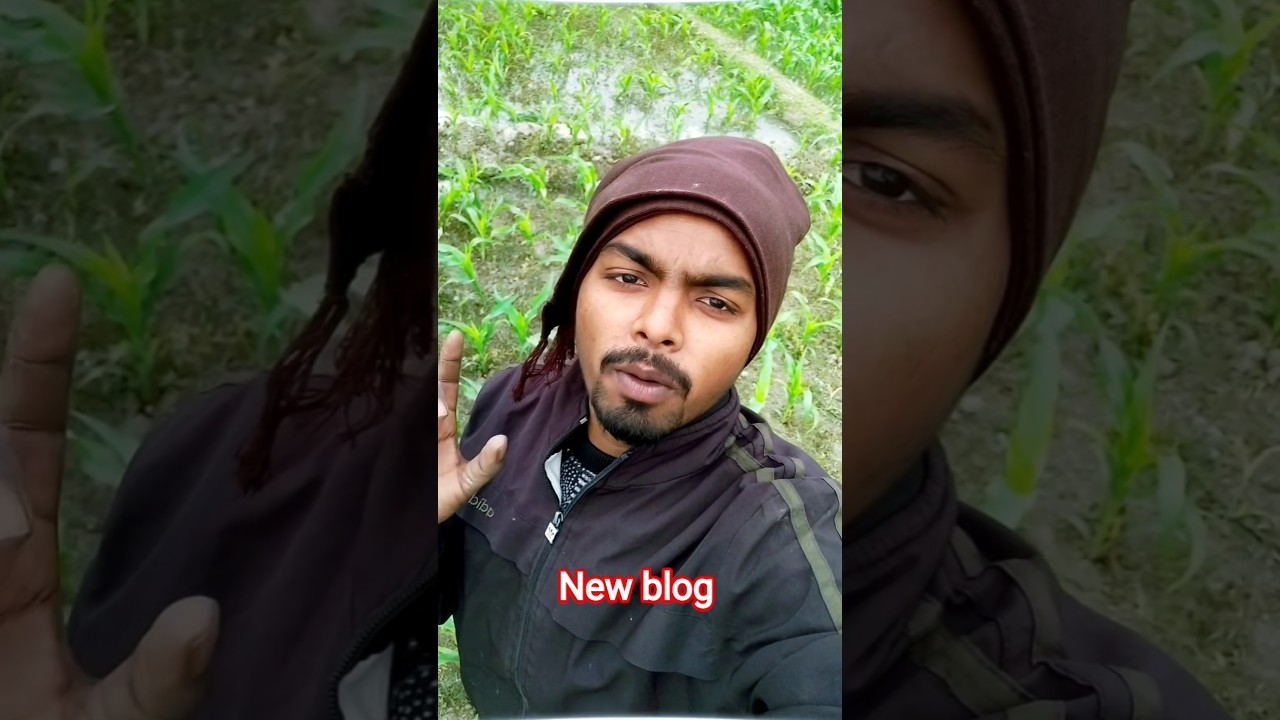 🎯My New Blog video || ramanibhai vlogs || 