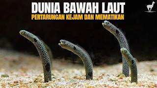 Download lagu Metropolitan Bawah Laut: Pertarungan Para Penghuni Kejam dan Brutal