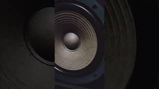 Speaker Marantz LS 400 - 91dB