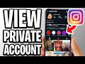 How To View Private Account On Insta - Full Guide
