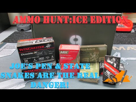 Icy Ammo Shortage Hunt, Closed Doors & No Scores. Didn't Find a Lot/ Opinion on Gun Control Laws
