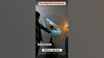 100 Cm Holographic Fan #3danimation #explore #youtubeshorts