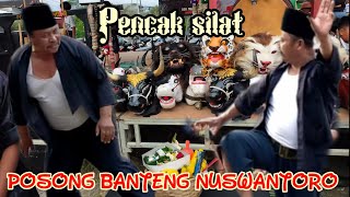 PENCAK SILAT 'POSONG BANTENG NUSWANTORO' ngabab pujon