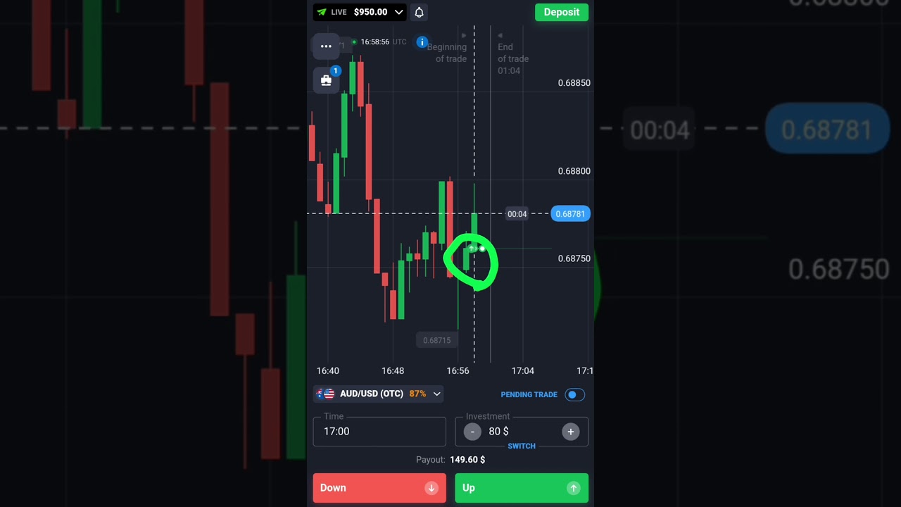 Binary Options PinBar Candle Strategy| Quotex Trading 