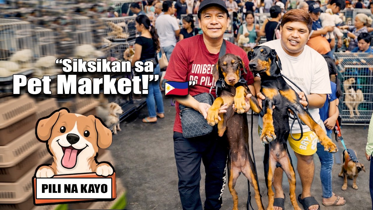 SA PAG-PAPATULOY NG PETS & ANIMAL MARKET SA BULACAN