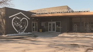 Ready Pet GO!: Highlighting Cleveland APL's Crisis Safety Net