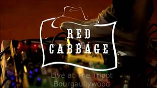 Red Cabbage - Proud Mary (Live)