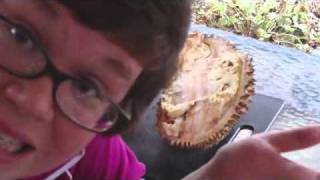 Durian: The Documentary- Part 2 (The Tasting) + BONUS: Will a CAT Eat Durian Fruit?