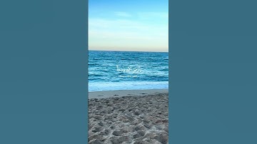 تلاوة من سورة الزمر للقارئ ياسر الدوسري #quran #حصن_المسلم #راحة_نفسية #tilawat#عاجل