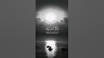 تلاوة من سورة المزمل للقارئ ياسر بن راشد الدوسري