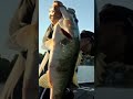 Chris Johnston making waves this morning