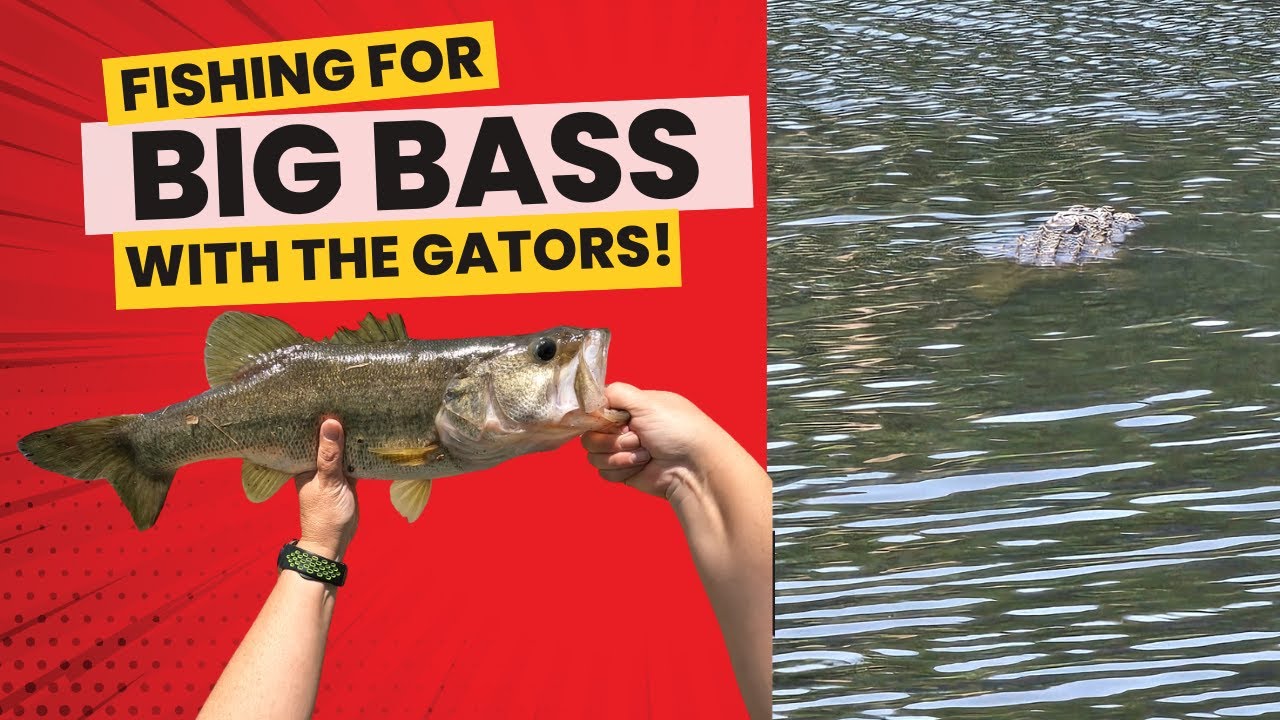 Fishing Brackish waters(BIG BASS/BIG GATOR)#girlfishing #foryou #bassfeatured #fishing