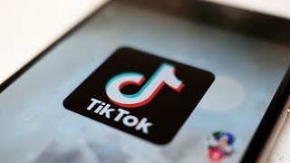 A new wave of DIY marketing: Small businesses take to TikTok