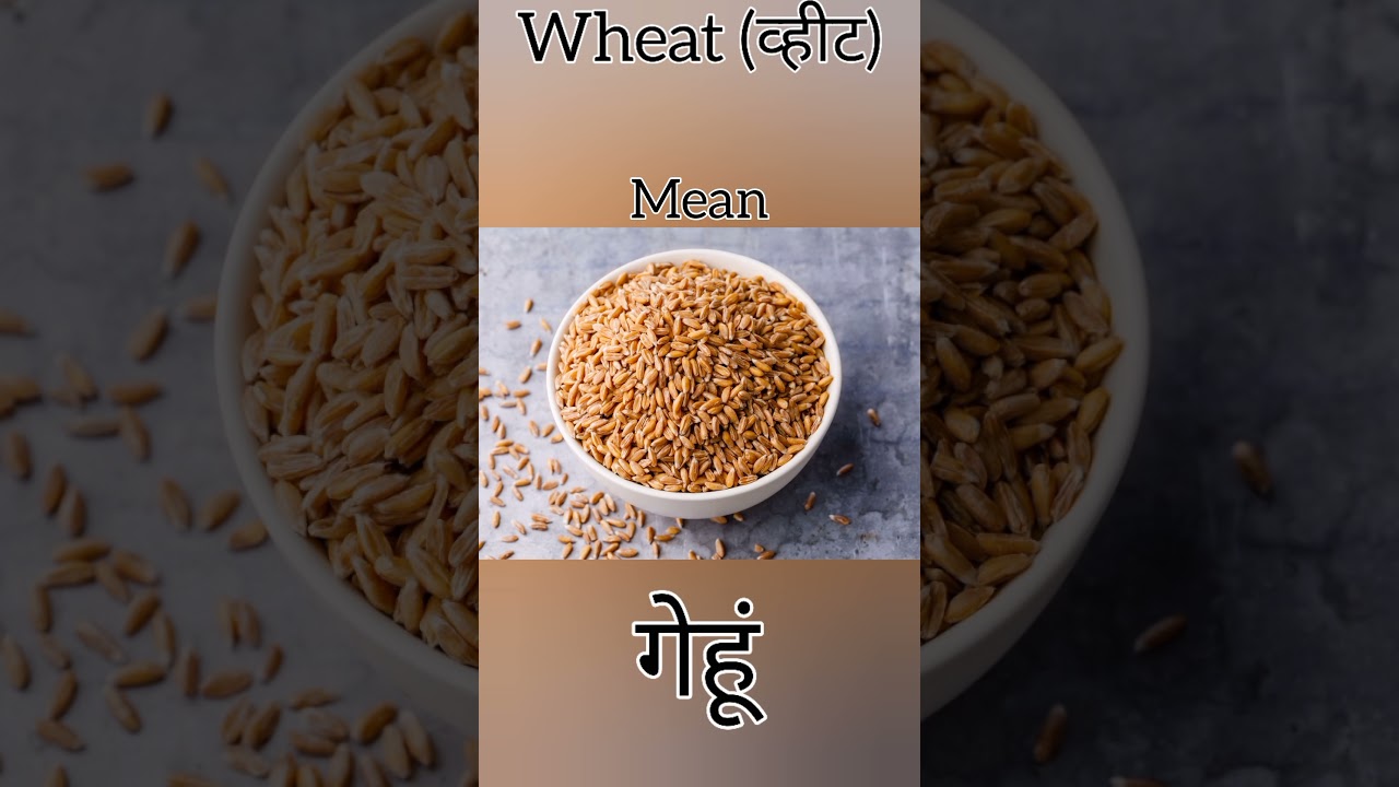 wheat essay in hindi language