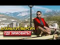 Аланья vs Мерсин: Зимний гид по городам с ArbatHomes