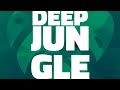 Phenom - Deep Jungle/Audio Preview (Power Pads)
