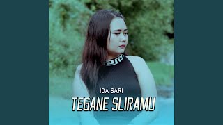Tegane Sliramu