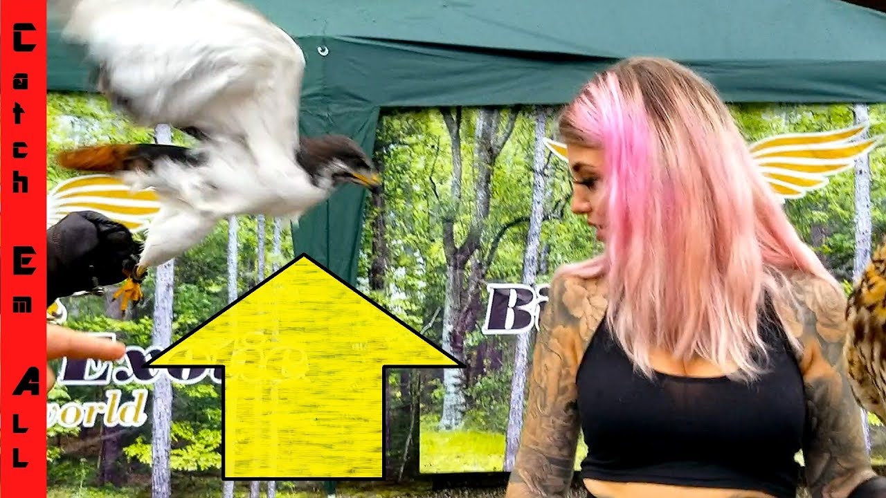 watershed BIRDS vs PEOPLE!