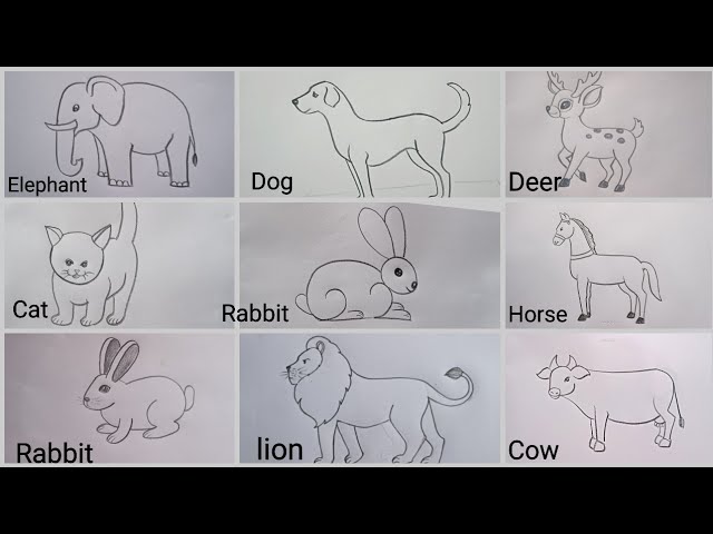 Drawings Of Animals