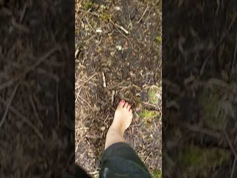 Barefoot On Old Moss Covered Stairs.