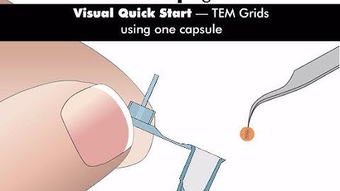 Visual QuickStart TEM Grids - Microscopy Innovations