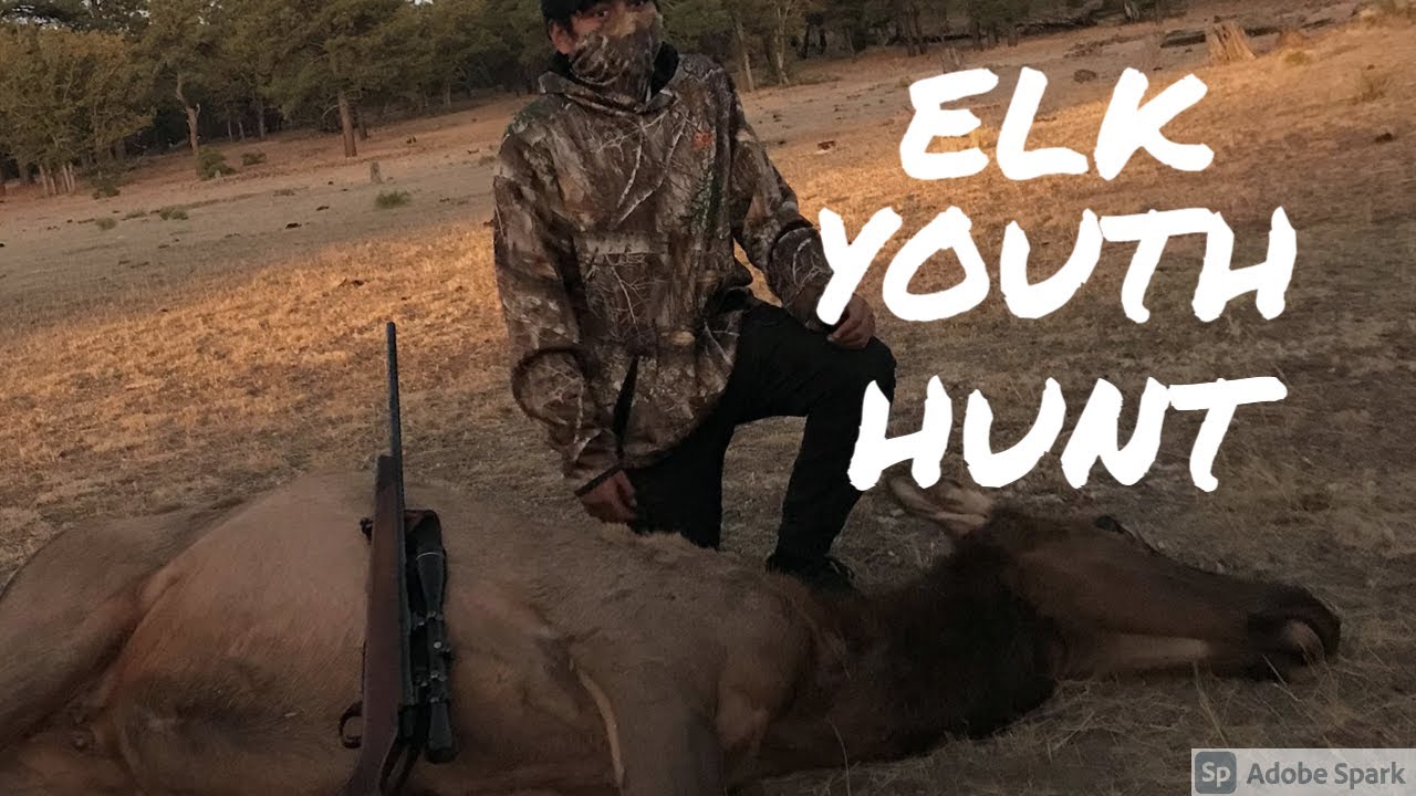 Youth ELK hunt. 2020. Northern AZ. YouTube