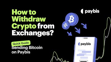 How to Send & Withdraw Bitcoin or Altcoins on Paybis? | A Step-by-Step Guide