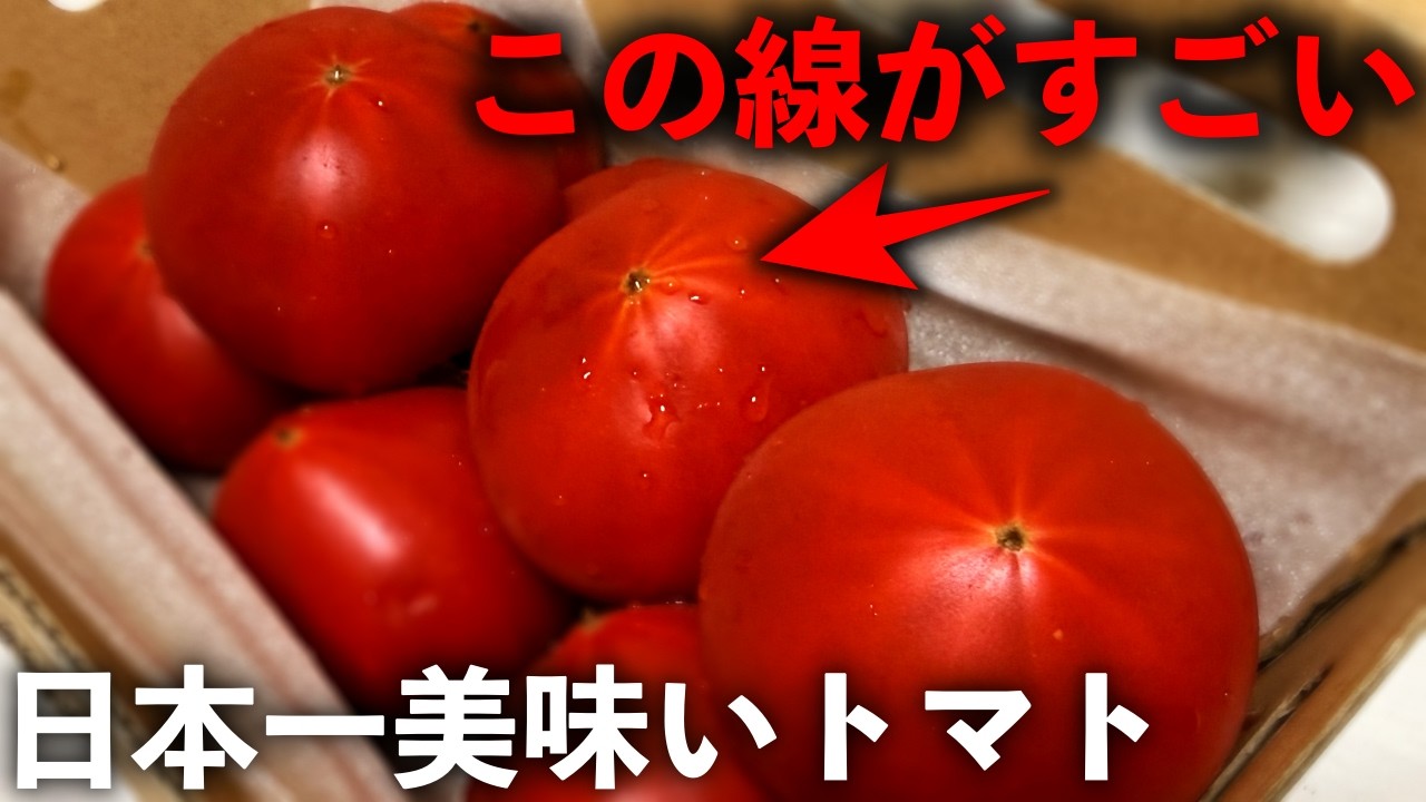 Japan's Best Tomato] They say tomatoes are better when they have