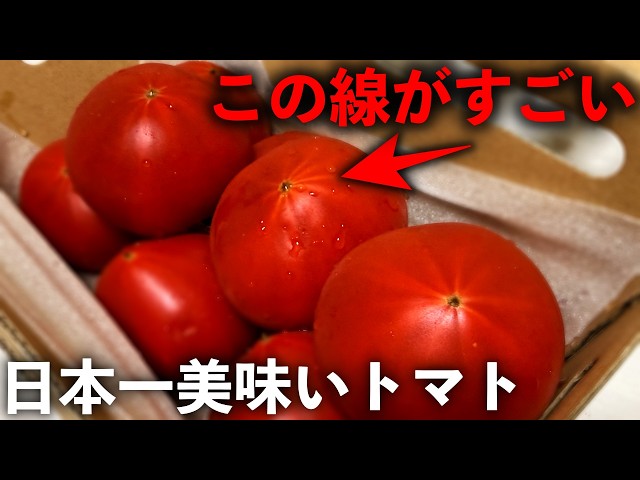 Japan's Best Tomato] They say tomatoes are better when they have