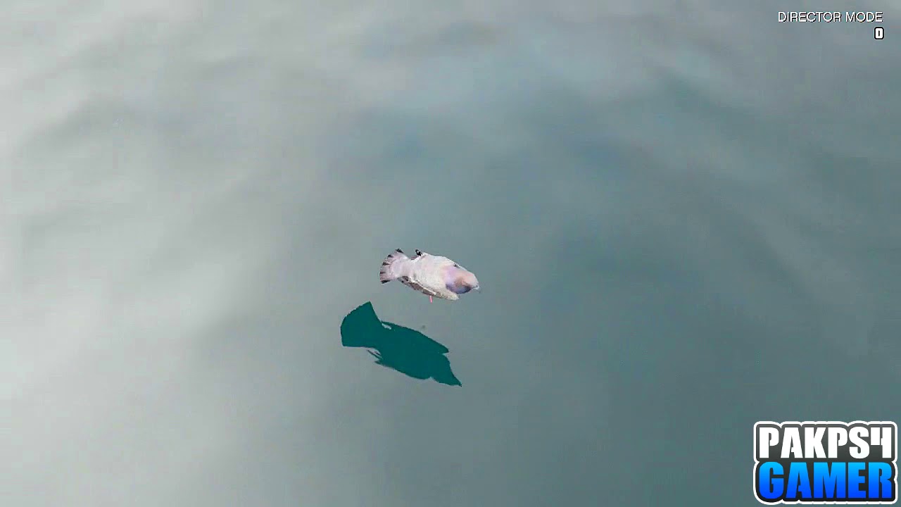 GTA 5 Online - How To Get DM TEXT Online l No Money