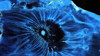 this is what Movement in Water looks like