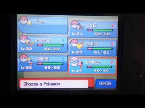 Comment attraper Aipom en perle pokemon