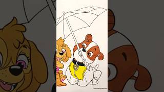 Rubble #shorts #short #shortvideo #shortsvideo #shortsviral #shortsfeed #viralshort #pawpatrol #pups