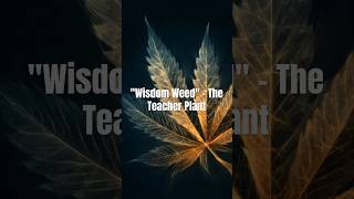 "Wisdom Weed" – The Teacher Plant
