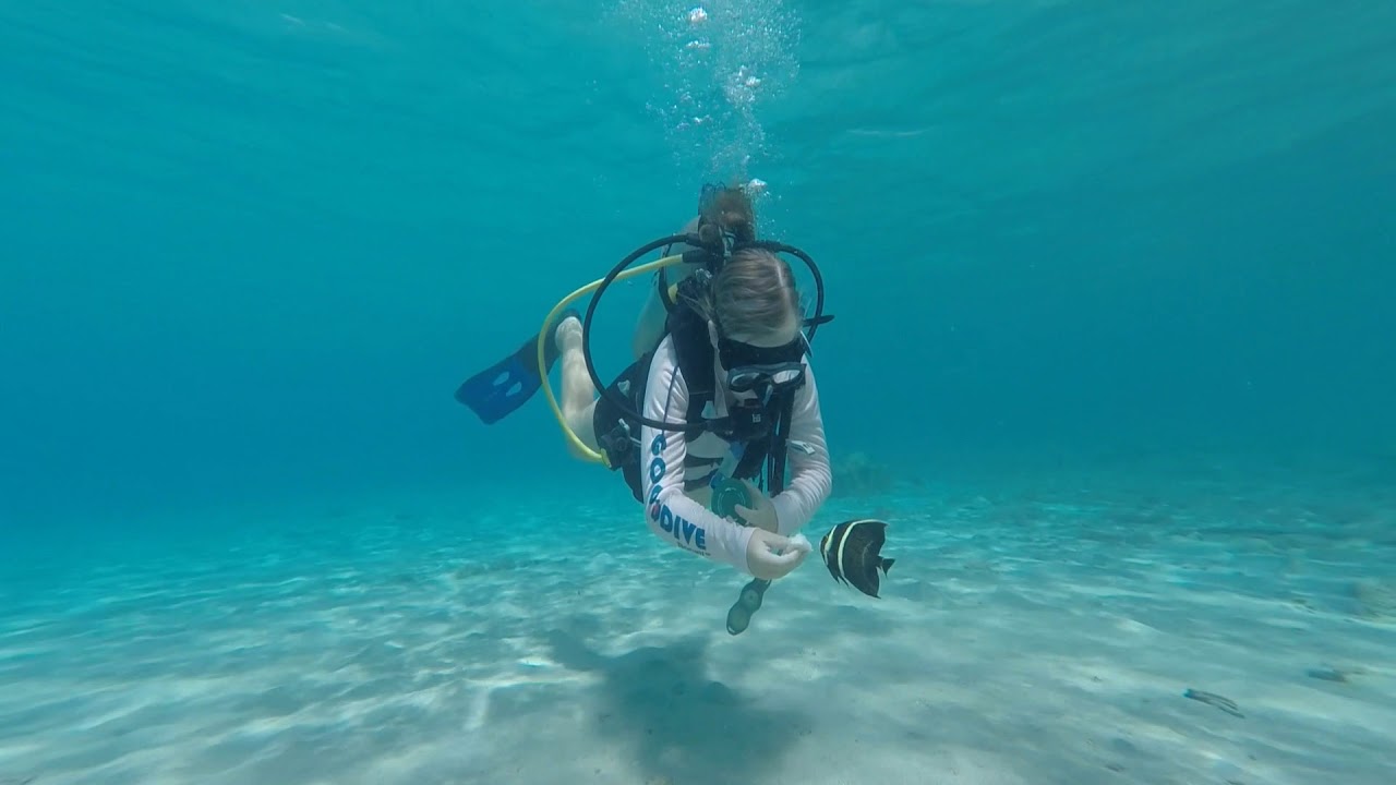 Searching for Mermaids in Bonaire | Sailing Catamaran Element