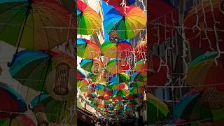 По Улицам Стамбула Зимние Путешествия