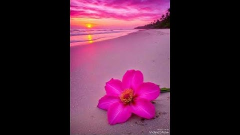 ولما فصلت العير قال أبوهم إني لأجد ريح يوسف تلاوة جميلة بصوت القارئ عبد العزيز السحيم #قران_كريم