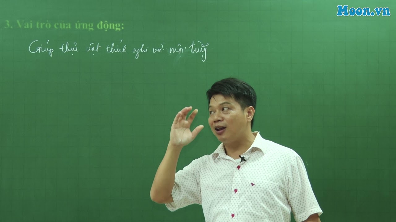 Bài 19 - SH11: Ứng động