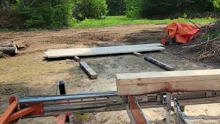 First cuts with norwood hd36v2 intelli set powerfeed
