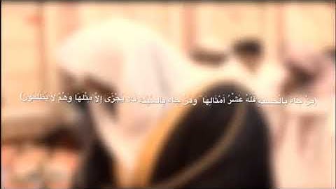 صوت الشيخ بدر المشاري في قراءة القران الكريم ♥️.