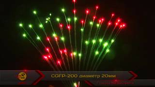 CGFP-200 2012
